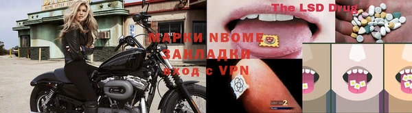 сатива Балахна