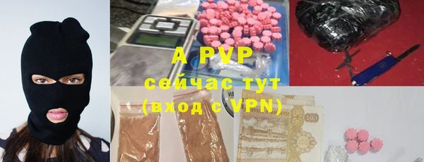 сатива Балахна