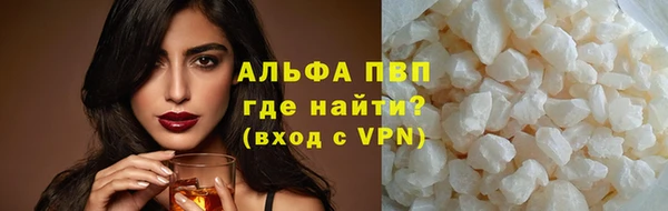 сатива Балахна