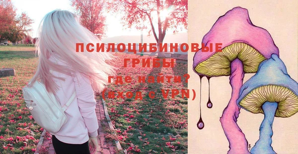 сатива Балахна