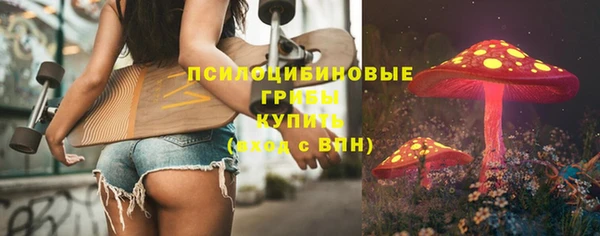 сатива Балахна