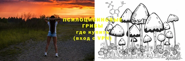 тгк Рославль